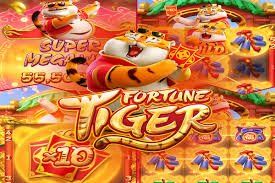 Dashboard Program Loyalitas togel5000 menampilkan saldo poin, status tier, dan reward yang tersedia